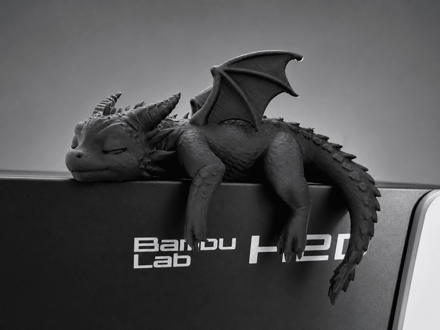 Dragão bebé adormecido